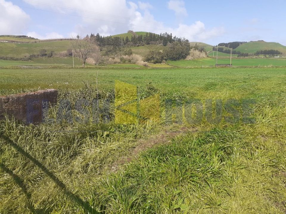 Erhvervsejendom i Sao Sebastiao, Terceira - foto 4
