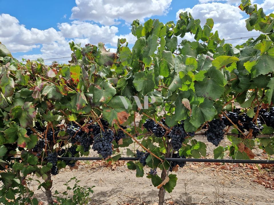 Helårsgrund i Vendas Novas, Evora - foto 4