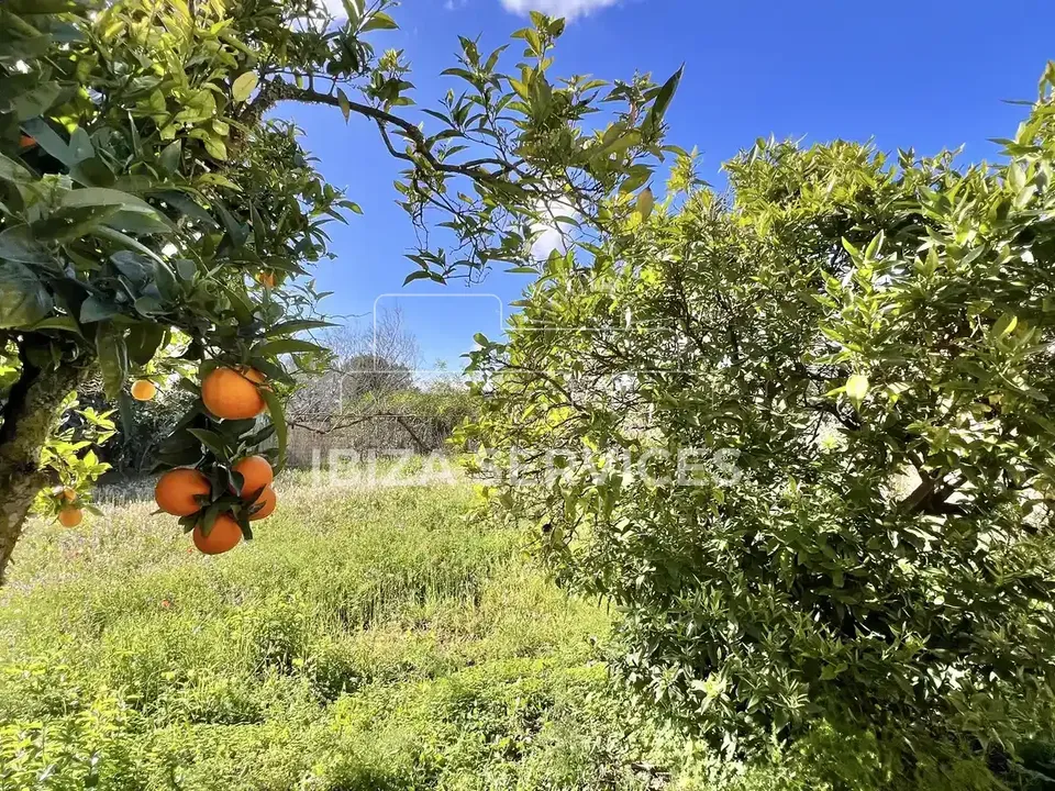 Villa i Ibiza, Ibiza - foto 3