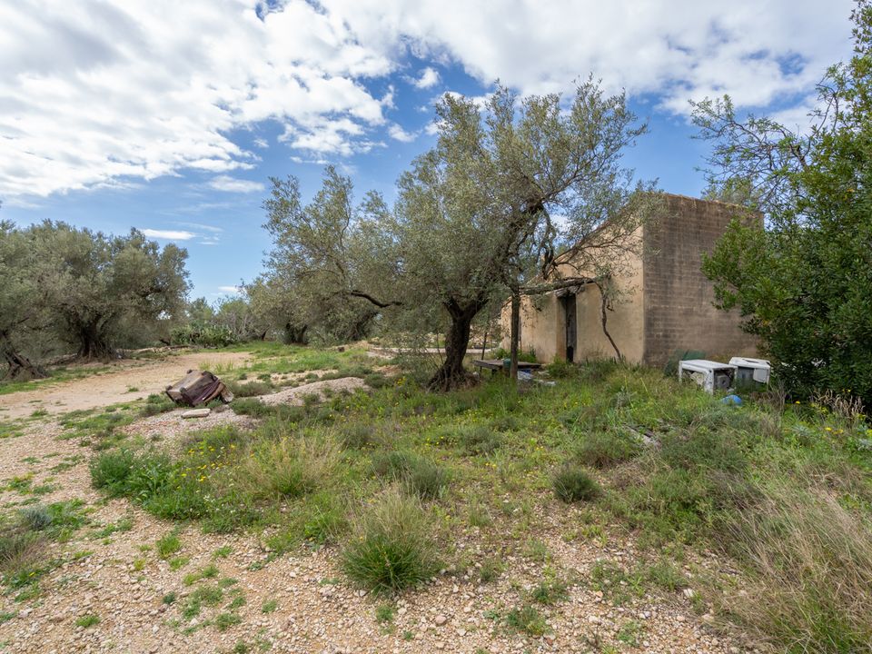 Finca en Mas De Barberans, Tarragona - foto 3