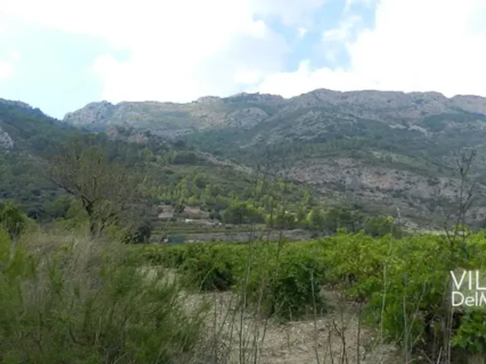Helårsgrund i Jalon, Alicante - foto 2