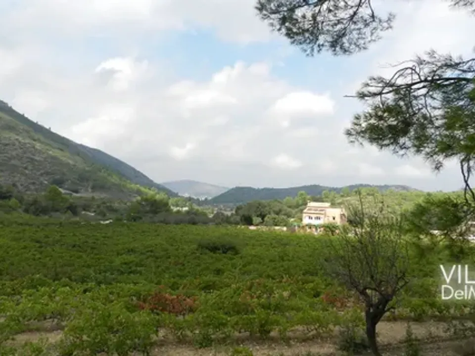 Helårsgrund i Jalon, Alicante - foto 4