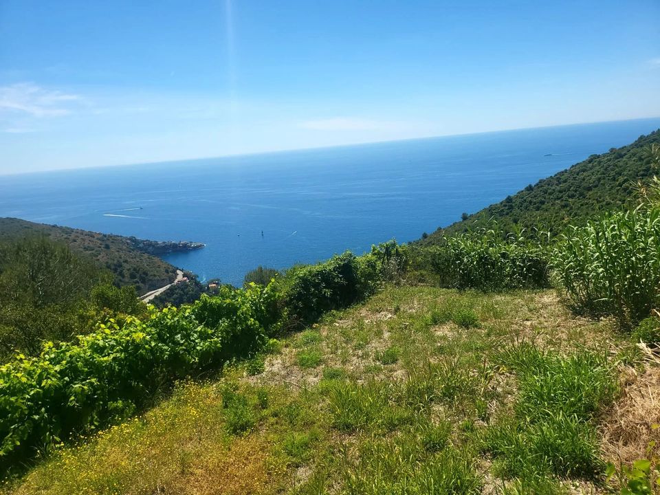 Helårsgrund i Eze, Alpes-Maritimes - foto 2