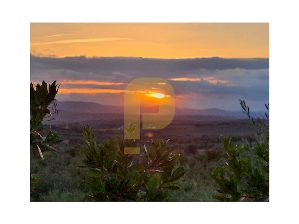 Tomt i Borba, Evora - bilde 2