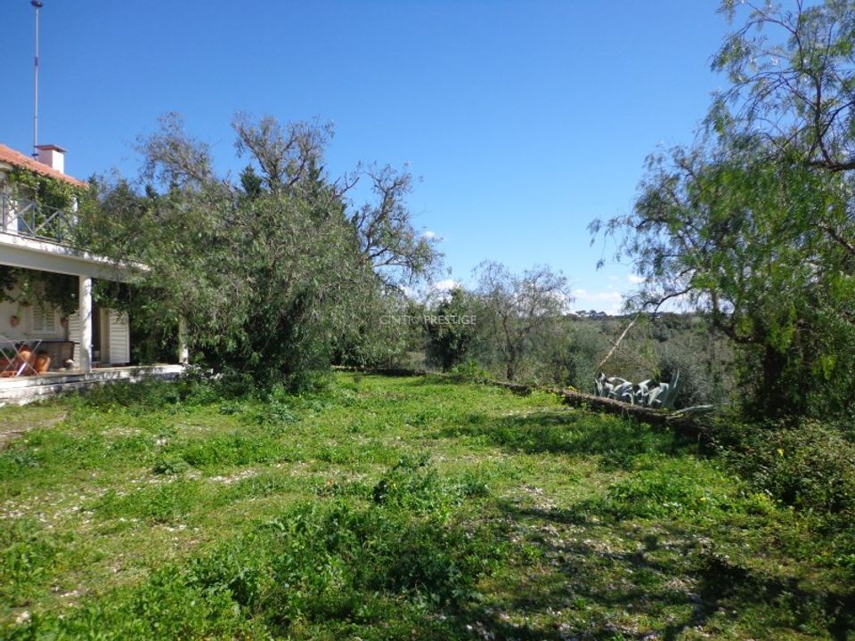 Farm i Mafra, Lisbon - foto 3