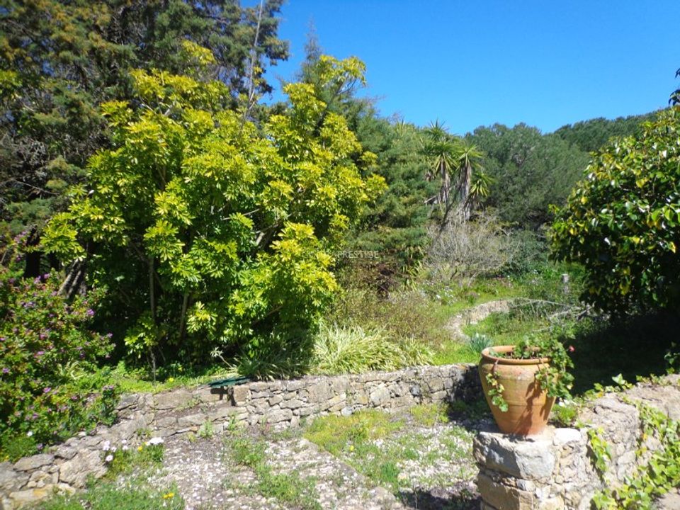 Farm i Mafra, Lisbon - foto 4