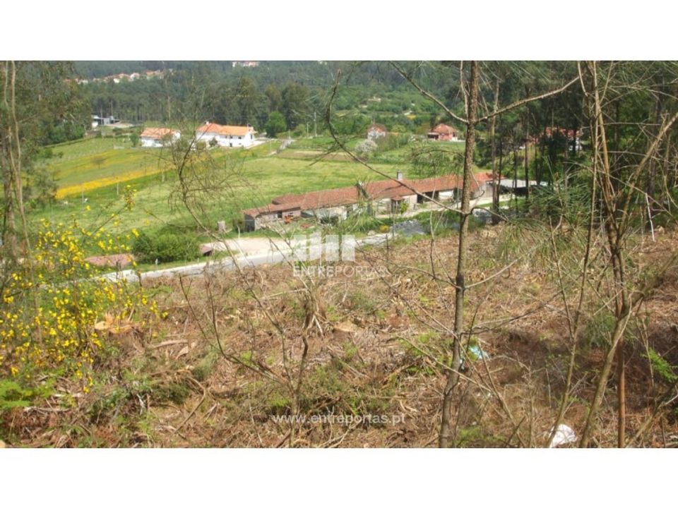 Helårsgrund i Reboreda e Nogueira, Viana do Castelo - foto 2