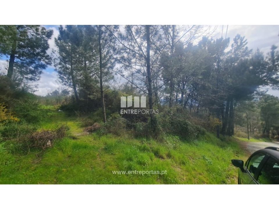Helårsgrund i Santa Marinha do Zezere, Porto - foto 3