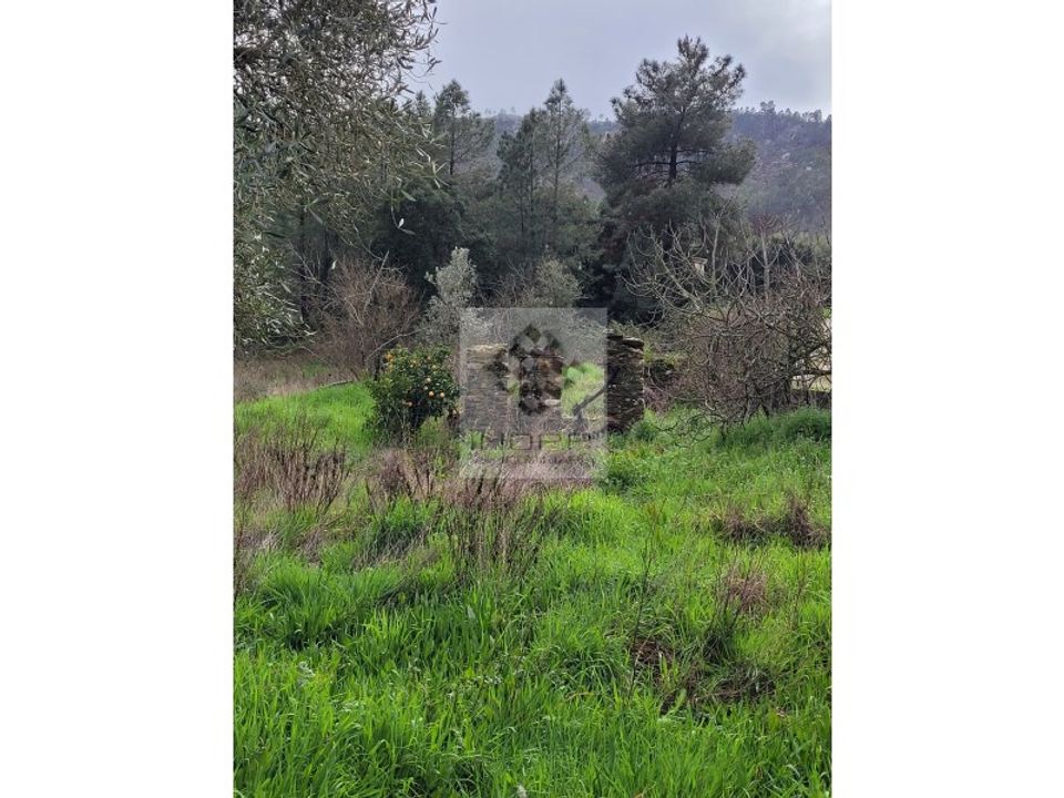 Tomt i Vila Velha de Rodao, Castelo Branco - bilde 1
