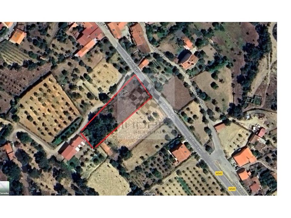 Tomt i Vila Velha de Rodao, Castelo Branco - bilde 4