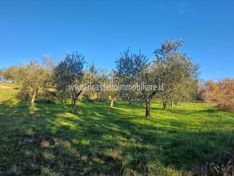 Helårsgrund i Sarteano, Siena - foto 1