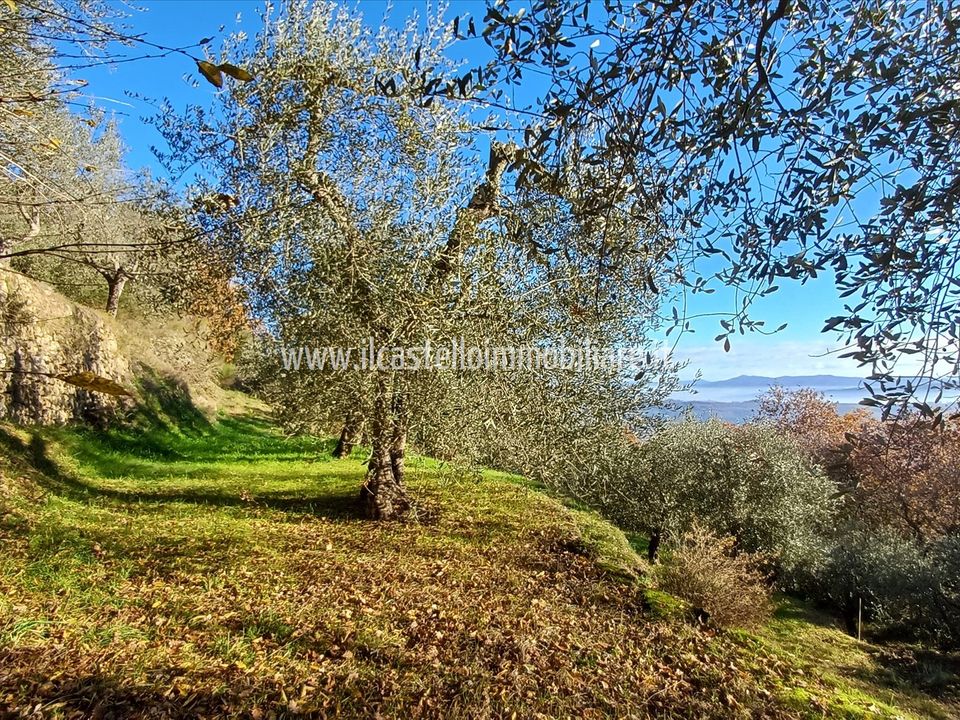 Helårsgrund i Sarteano, Siena - foto 2
