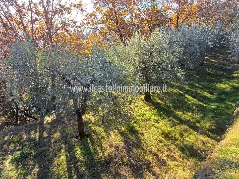 Helårsgrund i Sarteano, Siena - foto 4