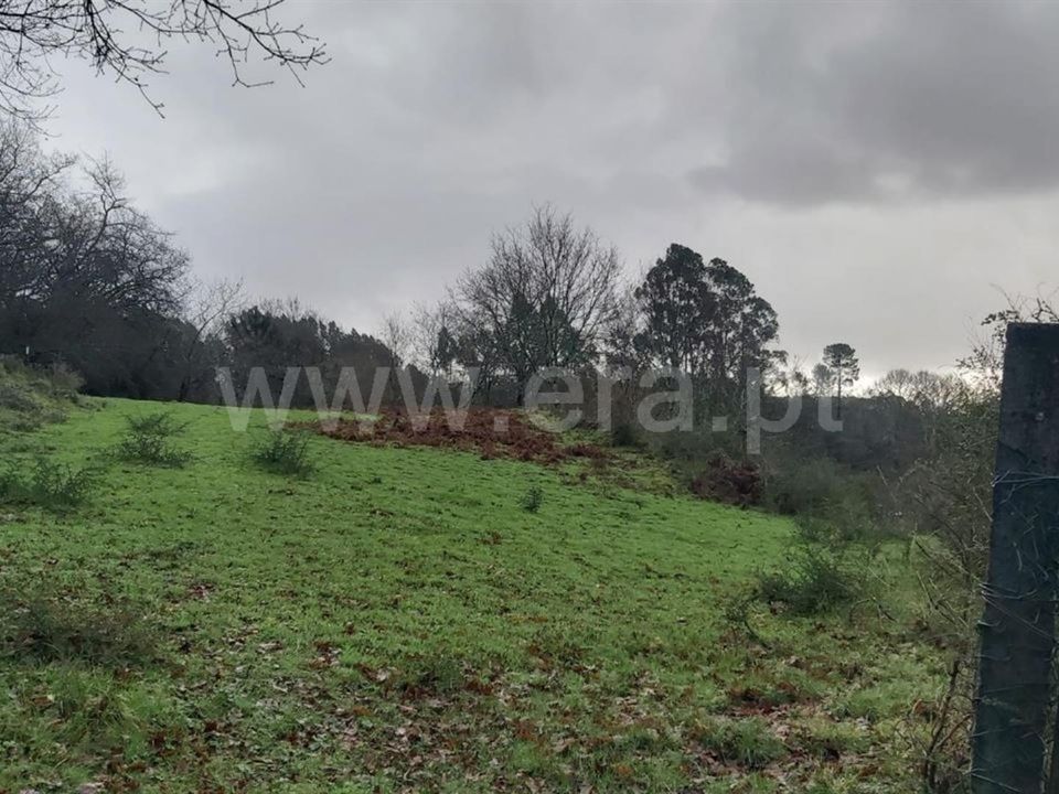 Helårsgrund i Povoa de Lanhoso, Braga - foto 3