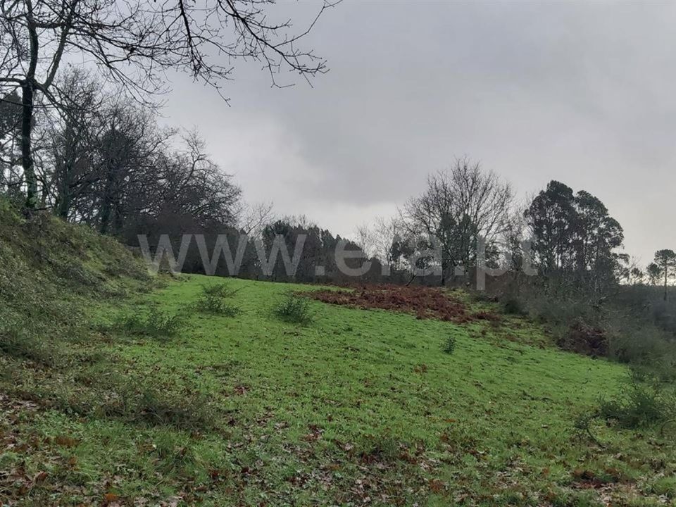 Helårsgrund i Povoa de Lanhoso, Braga - foto 4