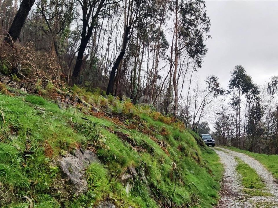 Helårsgrund i Povoa de Lanhoso, Braga - foto 5