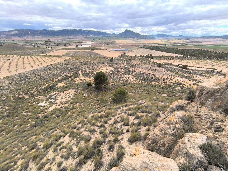 Helårsgrund i Yecla, Murcia - foto 1