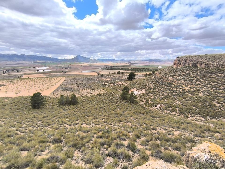 Helårsgrund i Yecla, Murcia - foto 2