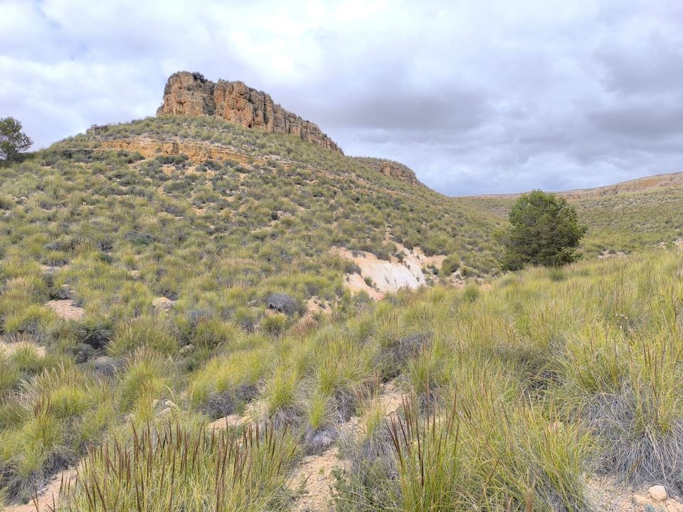 Helårsgrund i Yecla, Murcia - foto 3