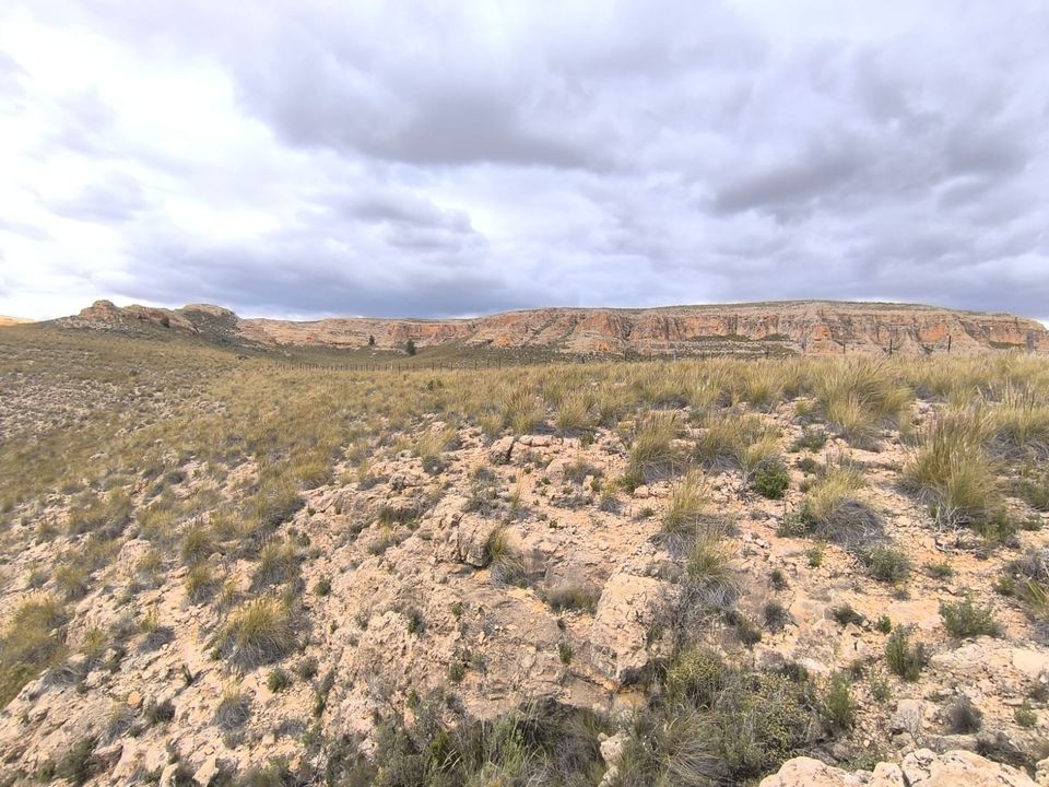 Helårsgrund i Yecla, Murcia - foto 4