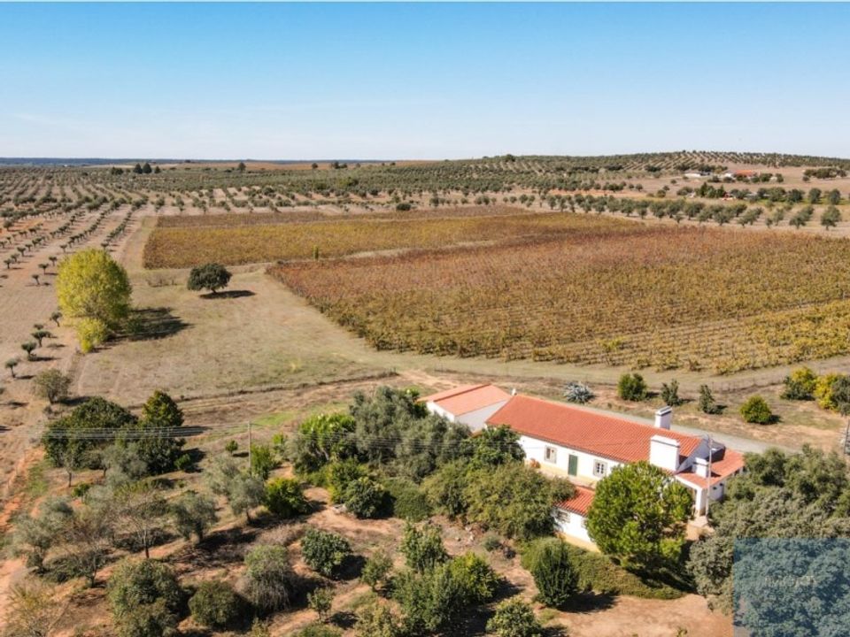 Farm i Avis, Portalegre - foto 1