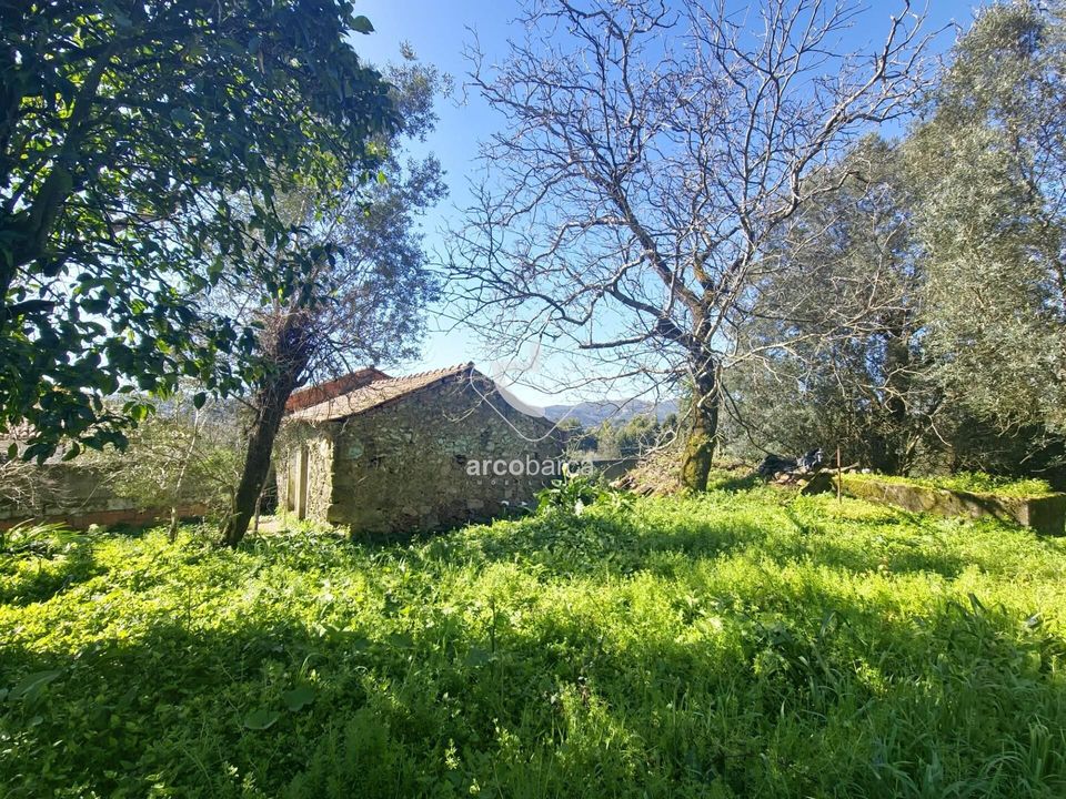 Farm i Ponte de Lima, Viana do Castelo - foto 2