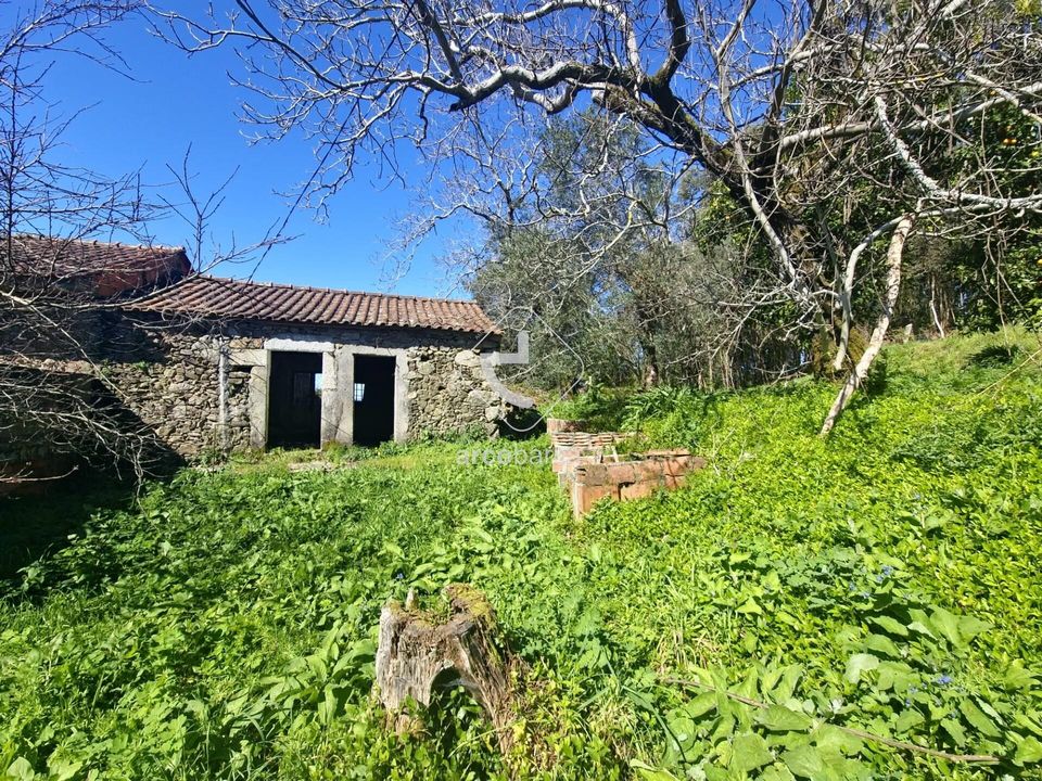 Farm i Ponte de Lima, Viana do Castelo - foto 1