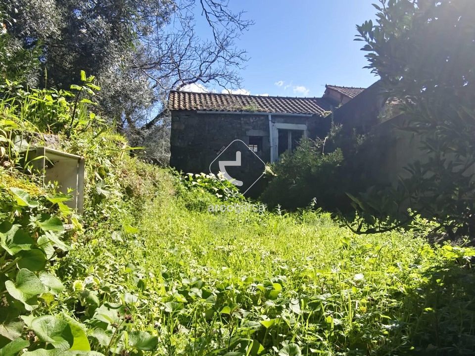Farm i Ponte de Lima, Viana do Castelo - foto 4