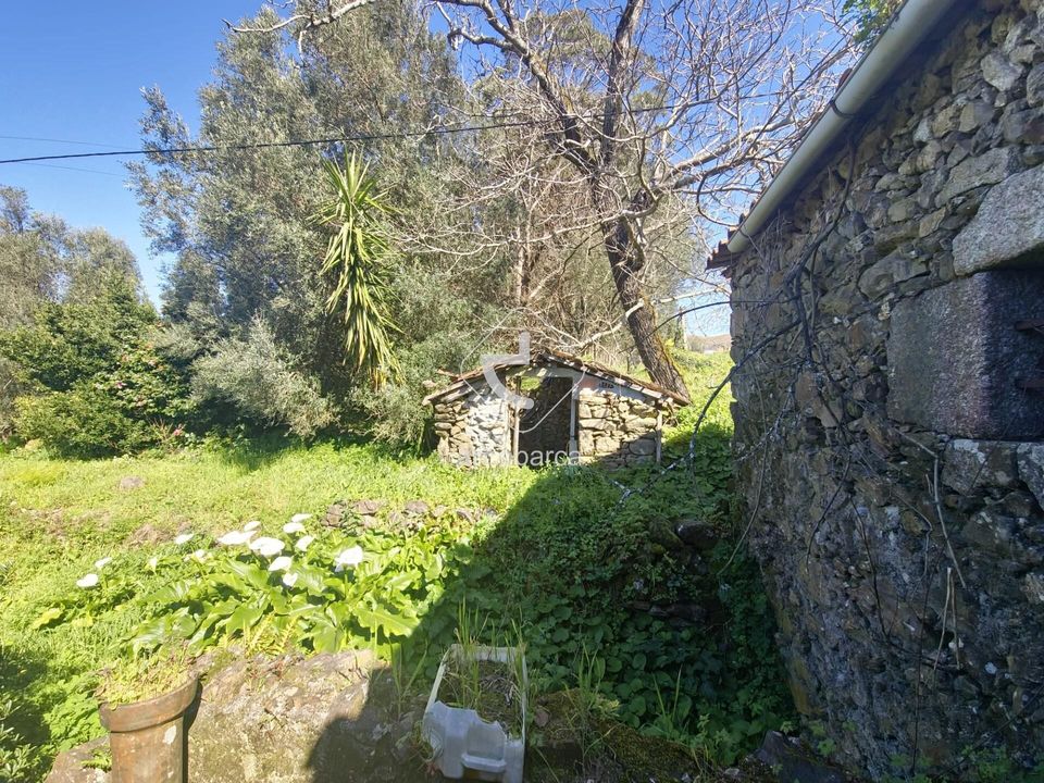Farm i Ponte de Lima, Viana do Castelo - foto 5