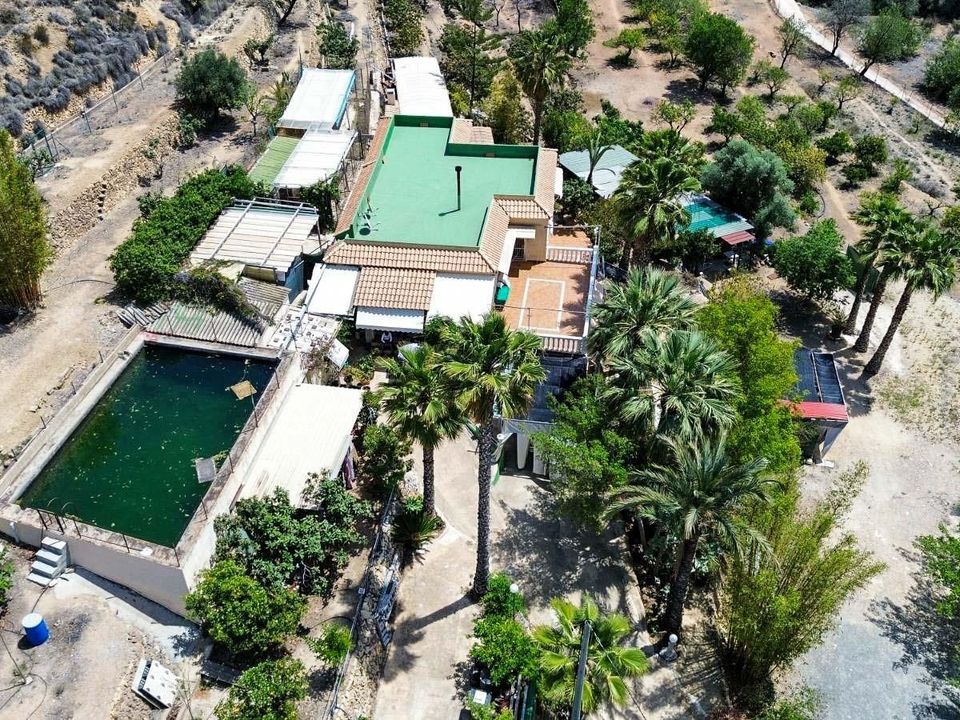 Masia a La Nucia, Alicante - foto 3