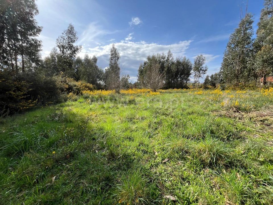 Helårsgrund i Seia, Guarda - foto 1