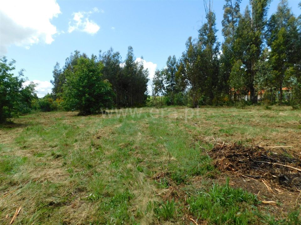 Helårsgrund i Seia, Guarda - foto 5