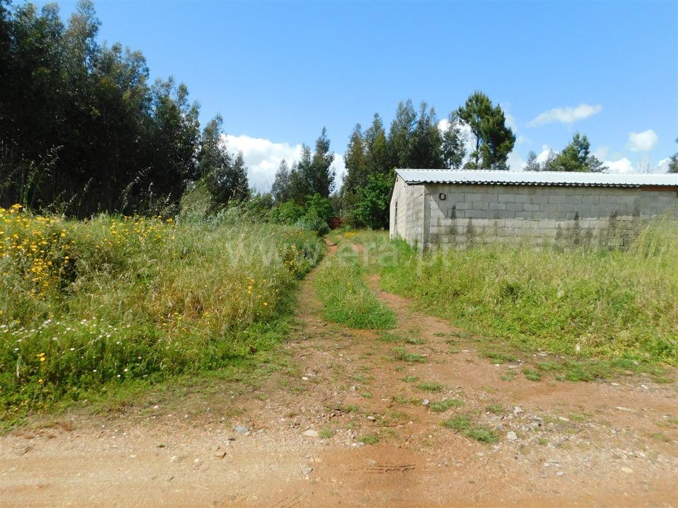 Helårsgrund i Seia, Guarda - foto 5