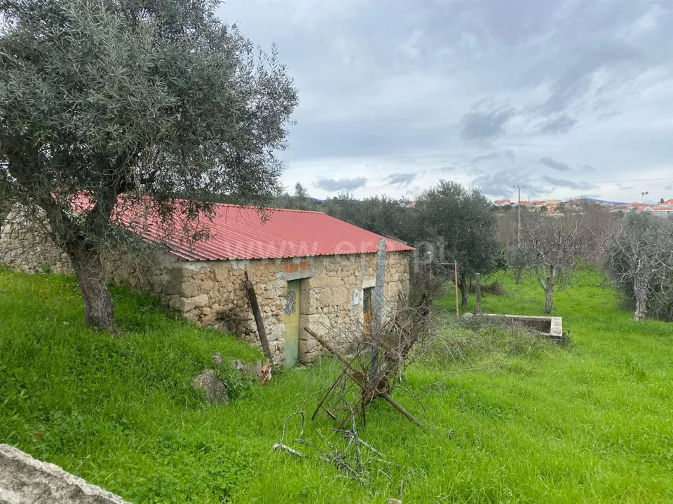 Landejendom i Fundao, Castelo Branco - foto 1