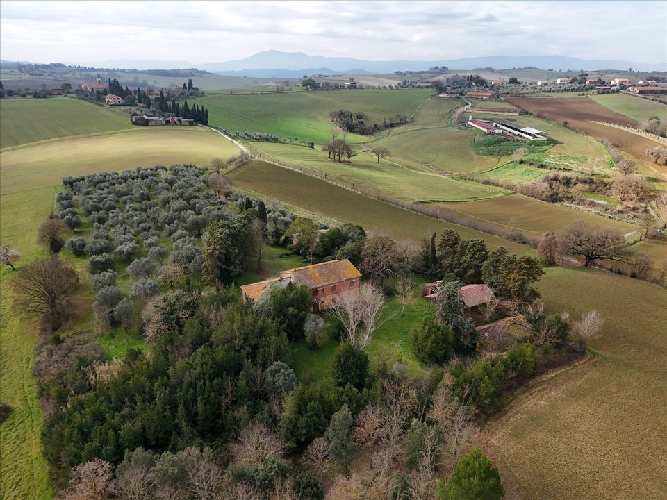 Farm hus i Castiglione del Lago, Perugia - foto 3