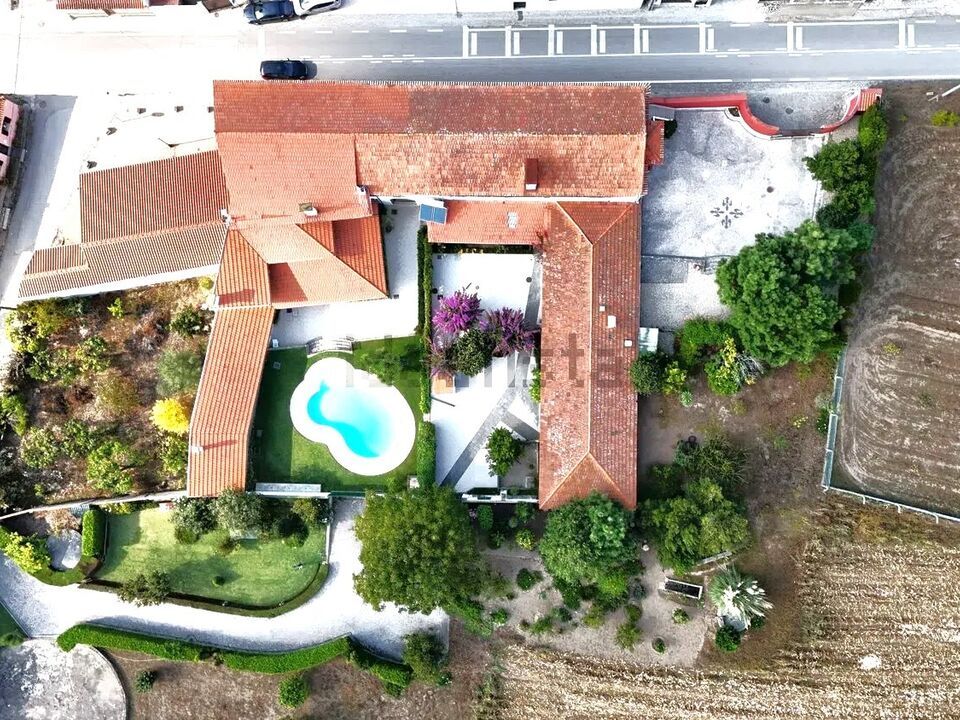 Farm i Pombal, Leiria - foto 3