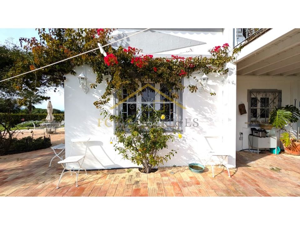 Farm i Luz de Tavira, Faro - foto 5
