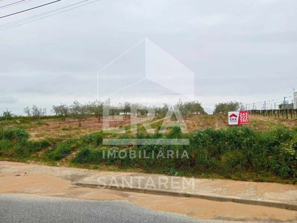 Helårsgrund i Alpiarca, Santarem - foto 2