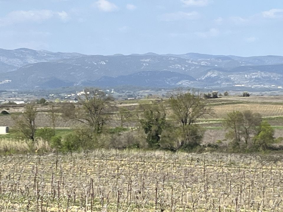 Land in Popian, Herault - photo 1