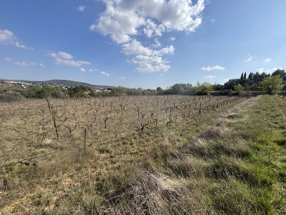Land in Popian, Herault - photo 5