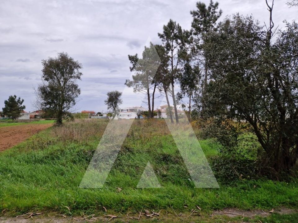 Helårsgrund i Arouca, Aveiro - foto 1