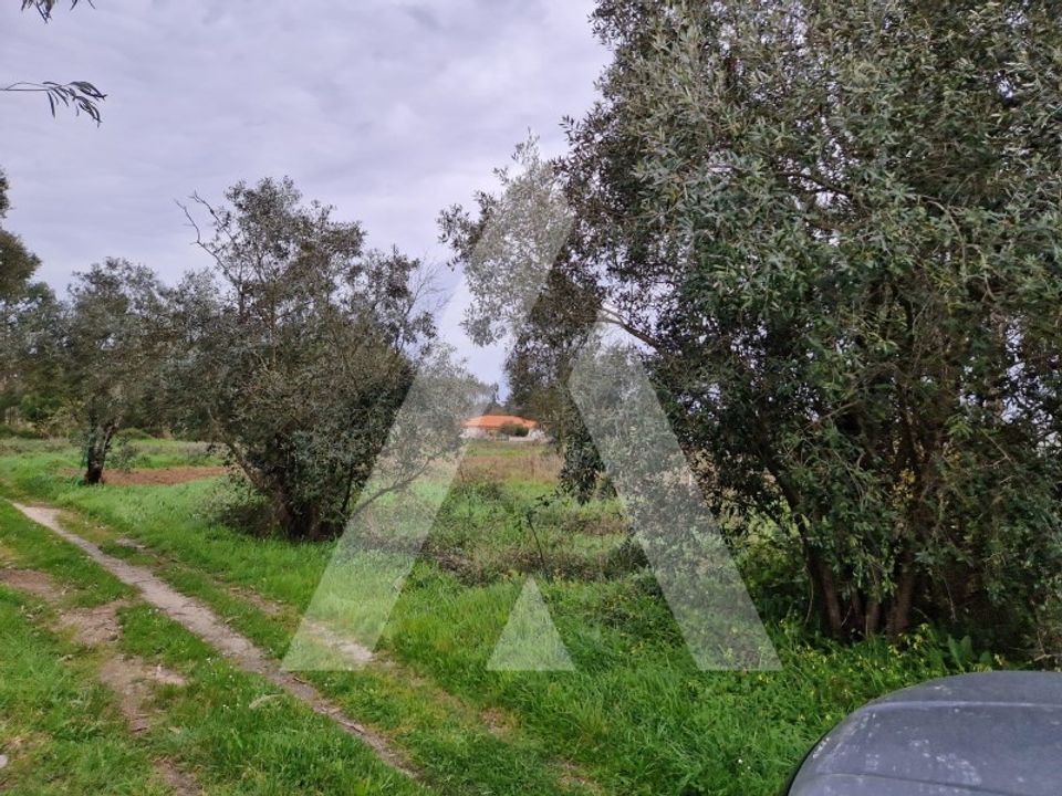 Helårsgrund i Arouca, Aveiro - foto 2