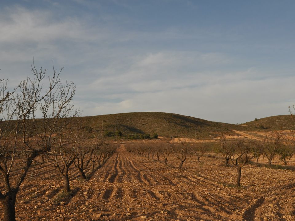 Helårsgrund i Abanilla, Murcia - foto 1