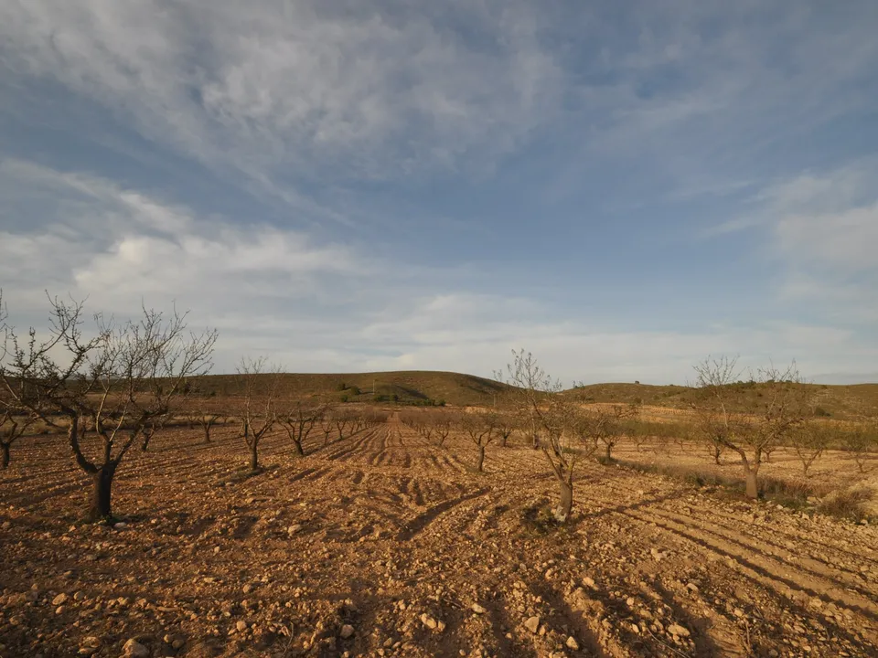 Helårsgrund i Abanilla, Murcia - foto 2