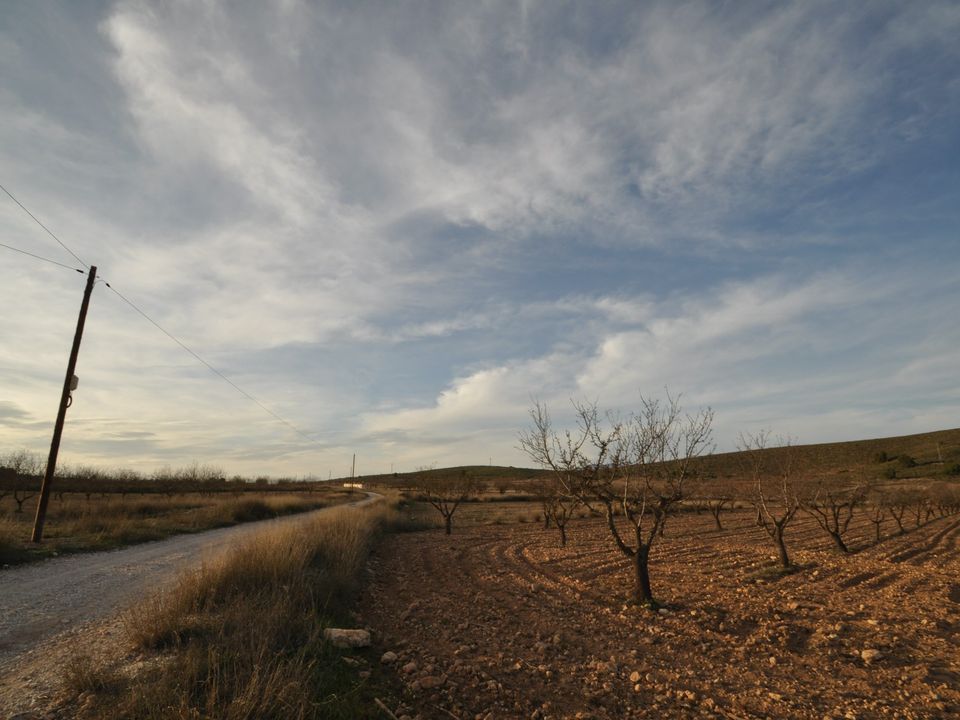 Helårsgrund i Abanilla, Murcia - foto 4