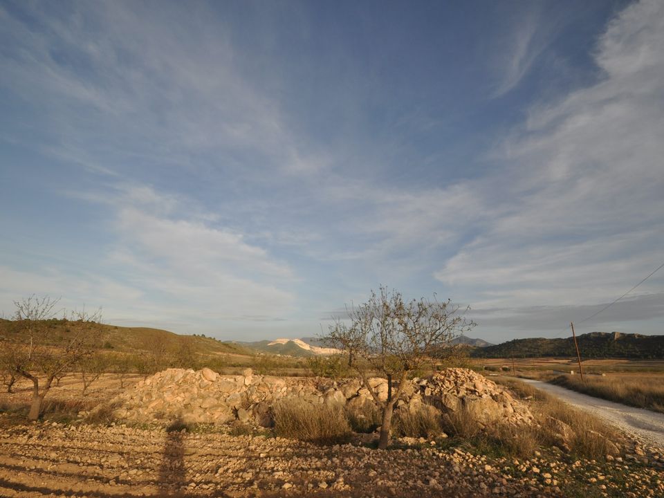 Helårsgrund i Abanilla, Murcia - foto 5