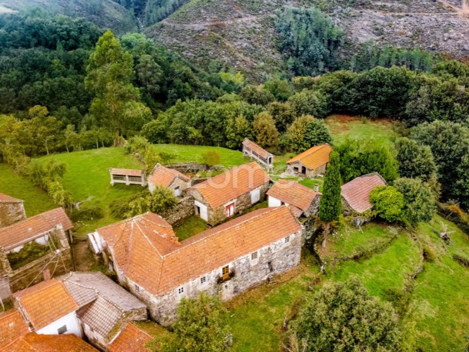 Farm i Montalegre, Vila Real - foto 3