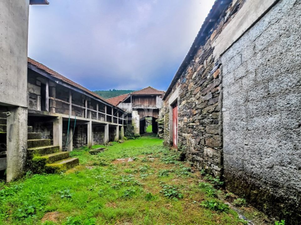 Farm i Montalegre, Vila Real - foto 1