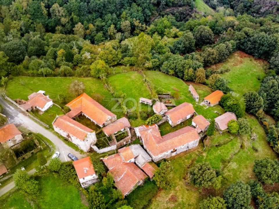 Farm i Montalegre, Vila Real - foto 4