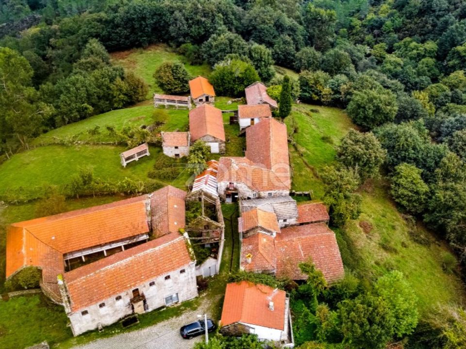 Farm i Montalegre, Vila Real - foto 5